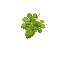 Logo Vuờn nho Nguyễn Minh